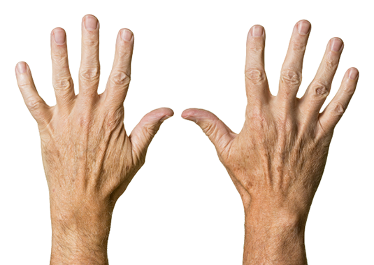 elderly hands